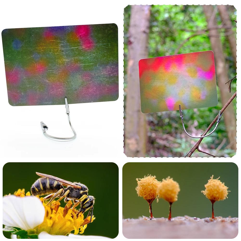 Sfondo per Macrofotografia con - Photography Lighting Material recensione e prezzo