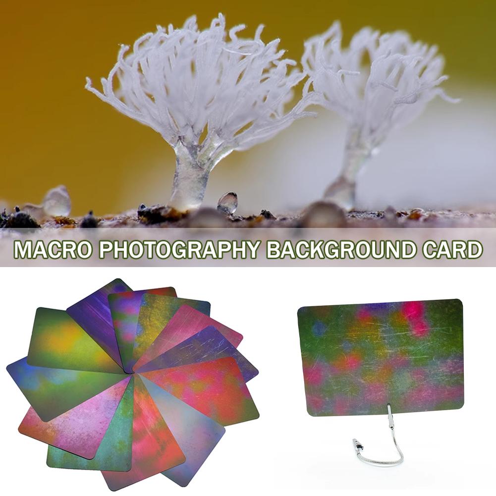 Sfondo per Macrofotografia con - Photography Lighting Material recensione e prezzo