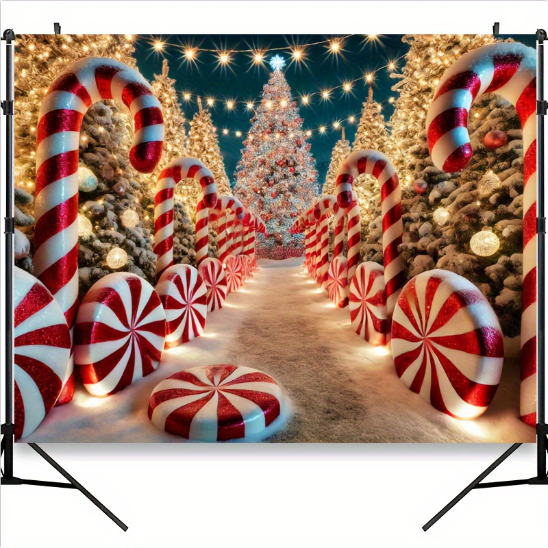 Sentiero di bastoncini di zucc - Photography Lighting Material recensione e prezzo