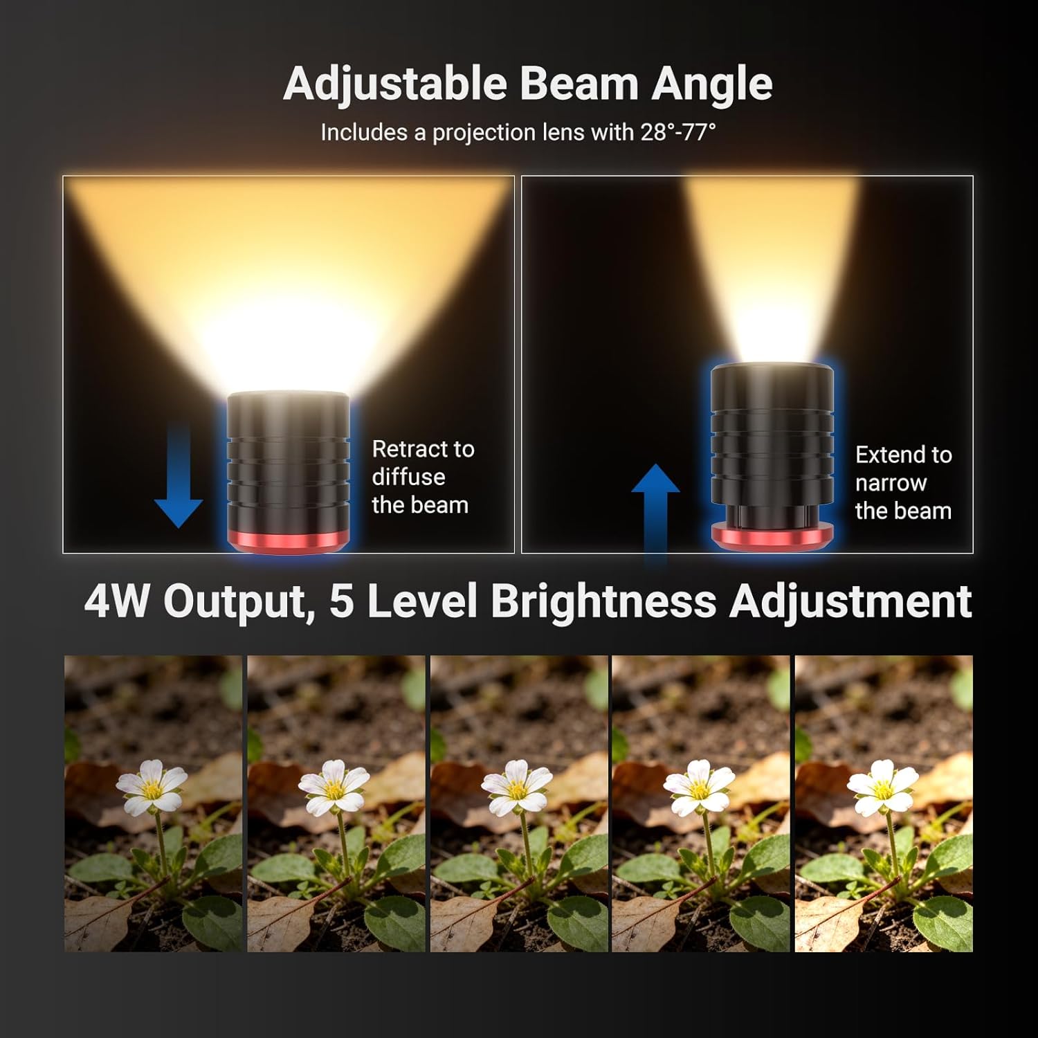 NEEWER Basics ML01 Luce LED US - Photography Lighting Basics recensione e prezzo