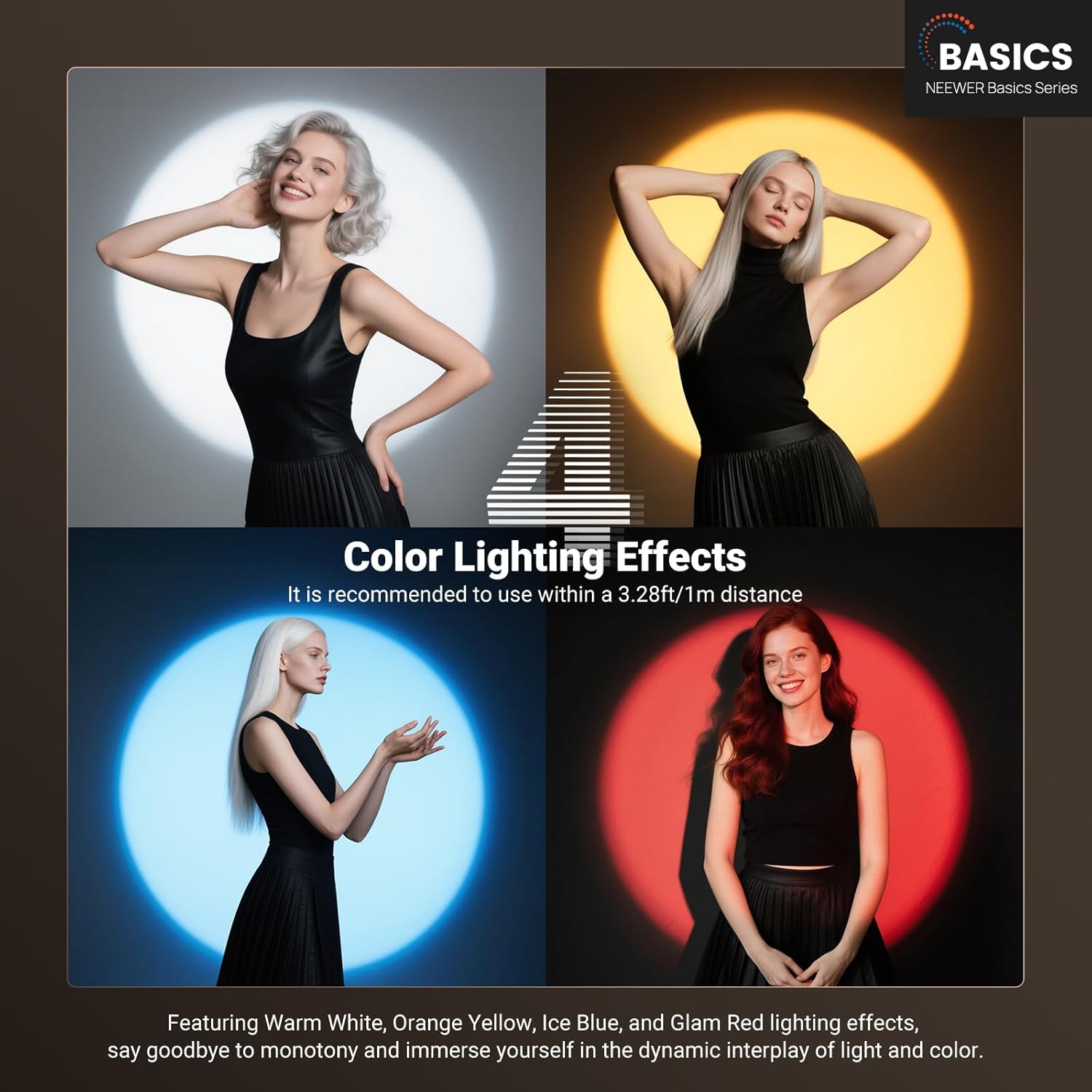 NEEWER Basics Torcia Fotografi - Photography Lighting Basics recensione e prezzo